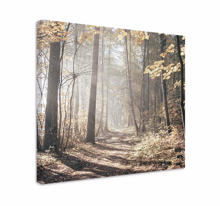 Canvas landschap mistbedekte weg - TenStickers