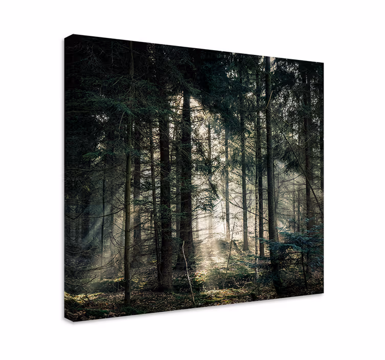 Canvas landschap zonnestralen door bladeren - TenStickers