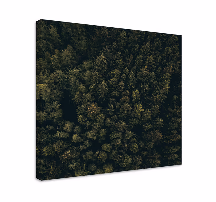 Canvas bomen weelderige bosbedekking - TenStickers