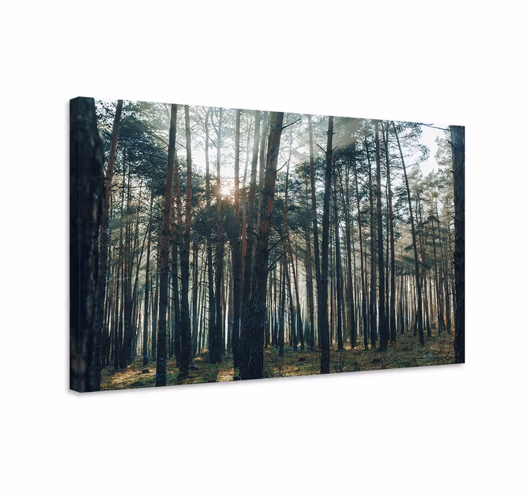 Canvas bomen majestueuze bosgloed - TenStickers