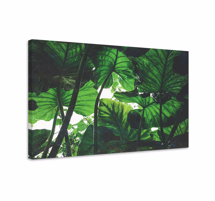 Canvas schilderij bloemen en planten tropische bladenkap - TenStickers