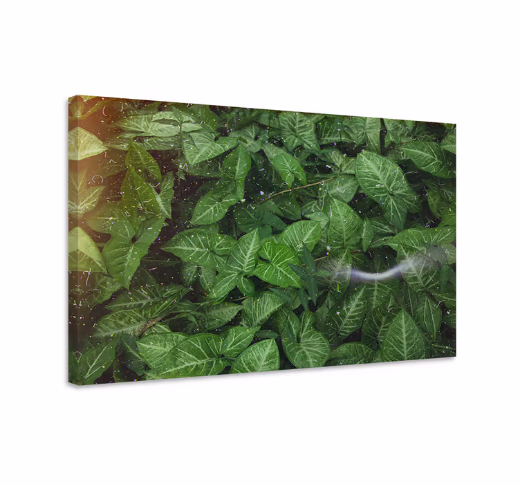 Canvas schilderij bloemen en planten groene bladeren - TenStickers