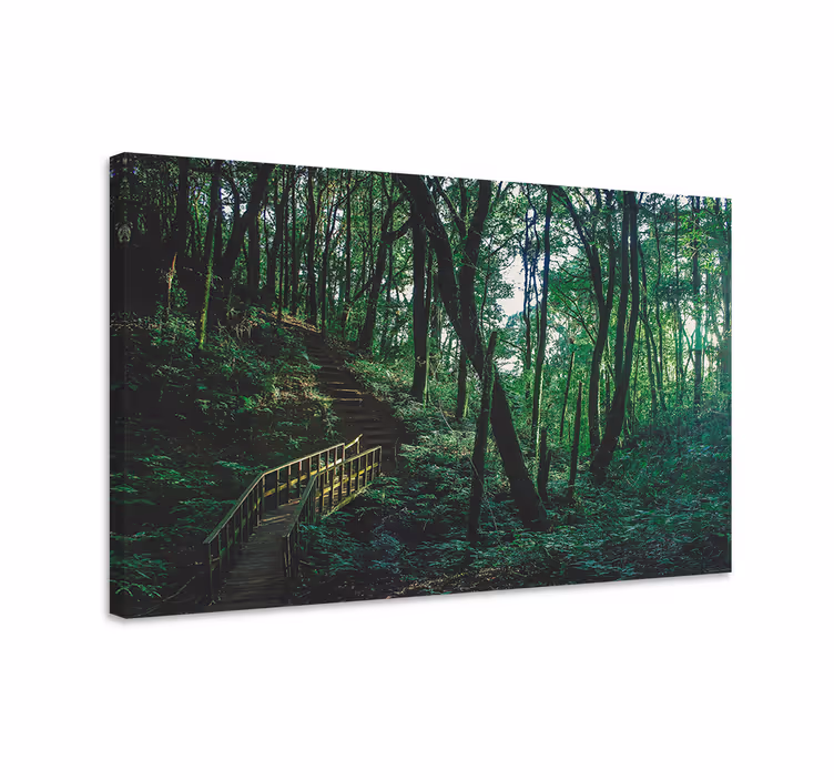Canvas landschap boswandeling - TenStickers