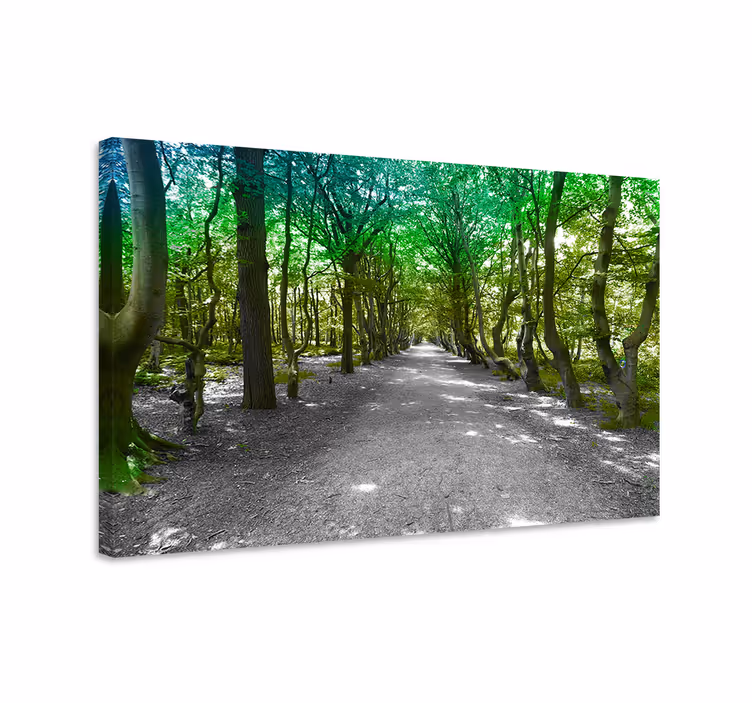 Canvas bomen groene bosweg - TenStickers