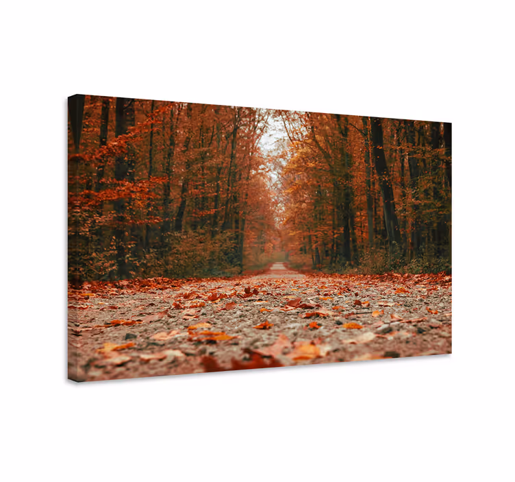 Canvas landschap herfstpad - TenStickers