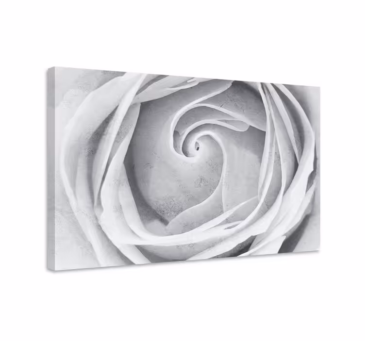 Canvas schilderij bloemen en planten elegant rozen spiraal - TenStickers