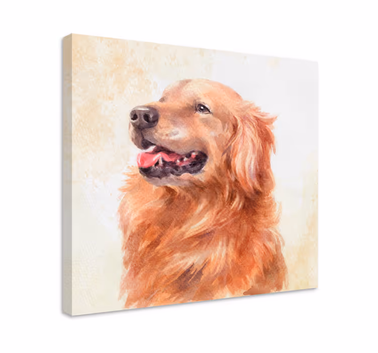 Canvas schilderij hond golden retriever illustratie - TenStickers