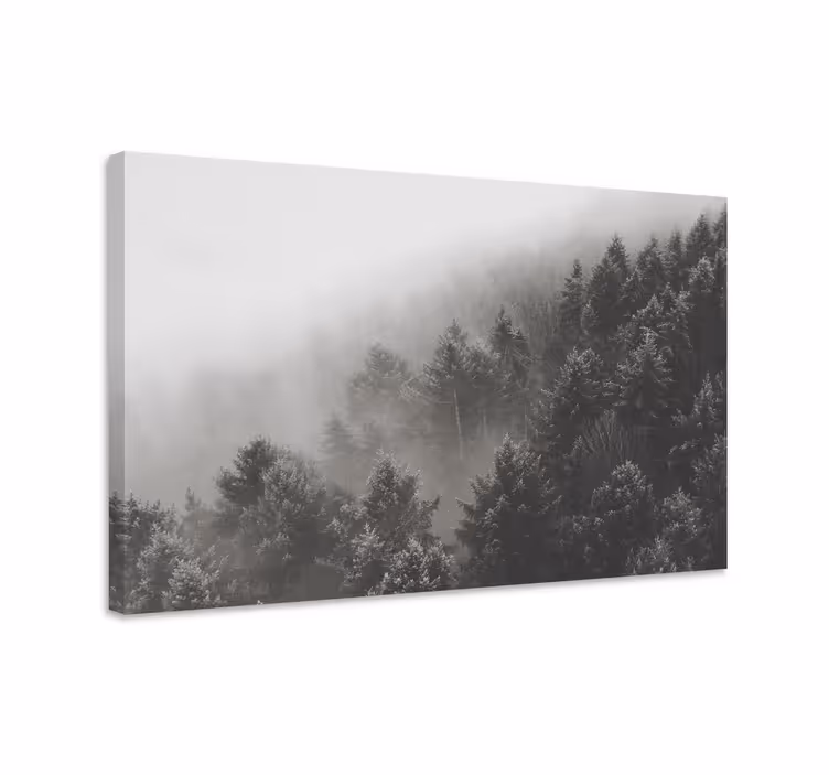 3D canvas schilderij Bos met witte dennen - TenStickers