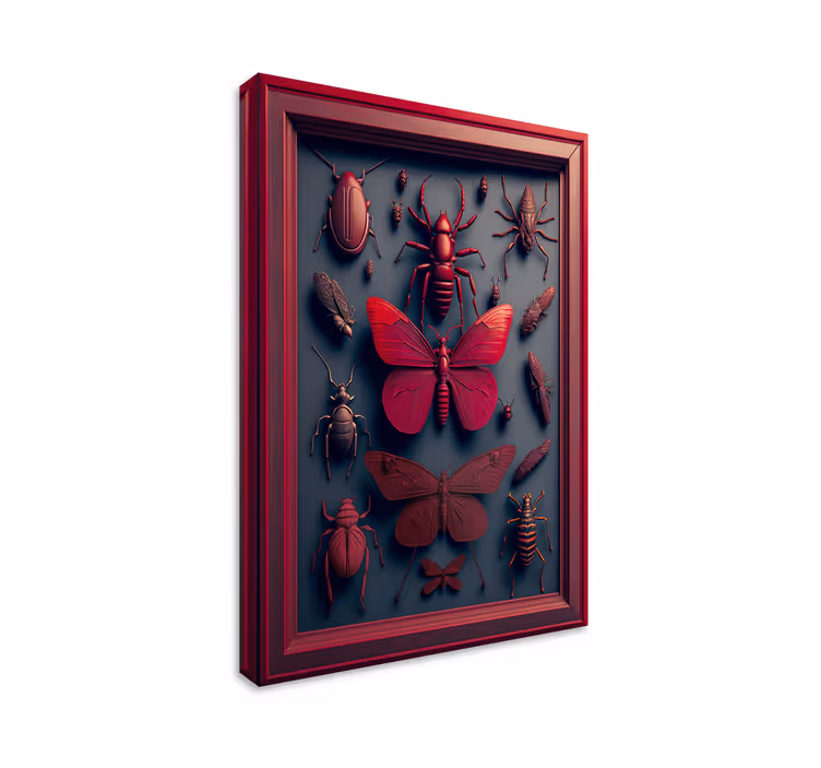  insectenverzameling Canvas schilderij - TenStickers