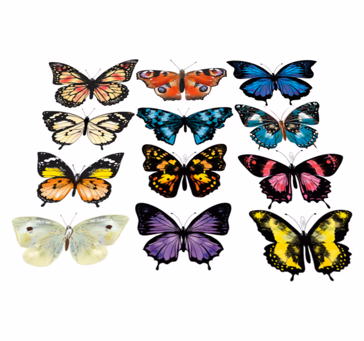 Dieren vinyl tapijt vlinderillustratie - TenStickers