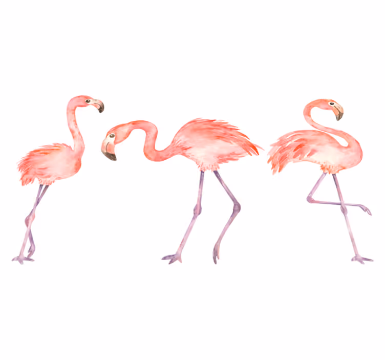 Dieren vinyl tapijt elegant flamingo trio - TenStickers