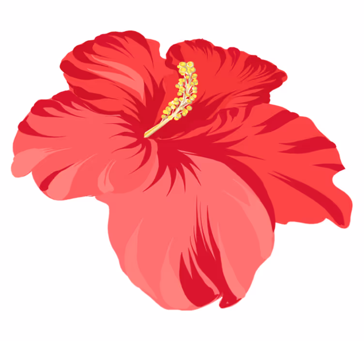 Vinyl tapijt bloemen en planten rode hibiscus set - TenStickers