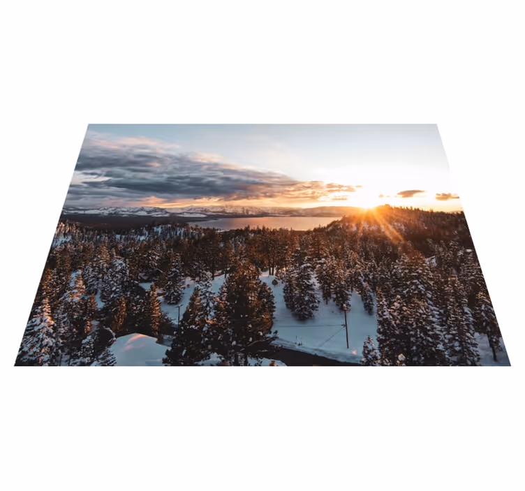 Vinyl tapijt natuur weelderig boslandschap - TenStickers