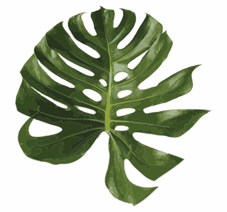 Vinyl tapijt bloemen en planten monstera blad - TenStickers