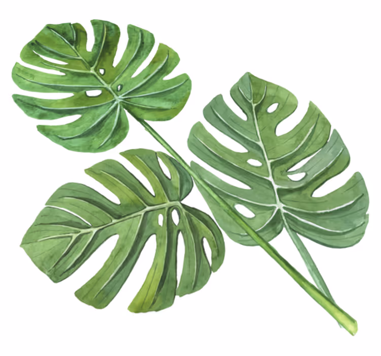 Vinyl tapijt bloemen en planten monstera aquarel bladeren - TenStickers