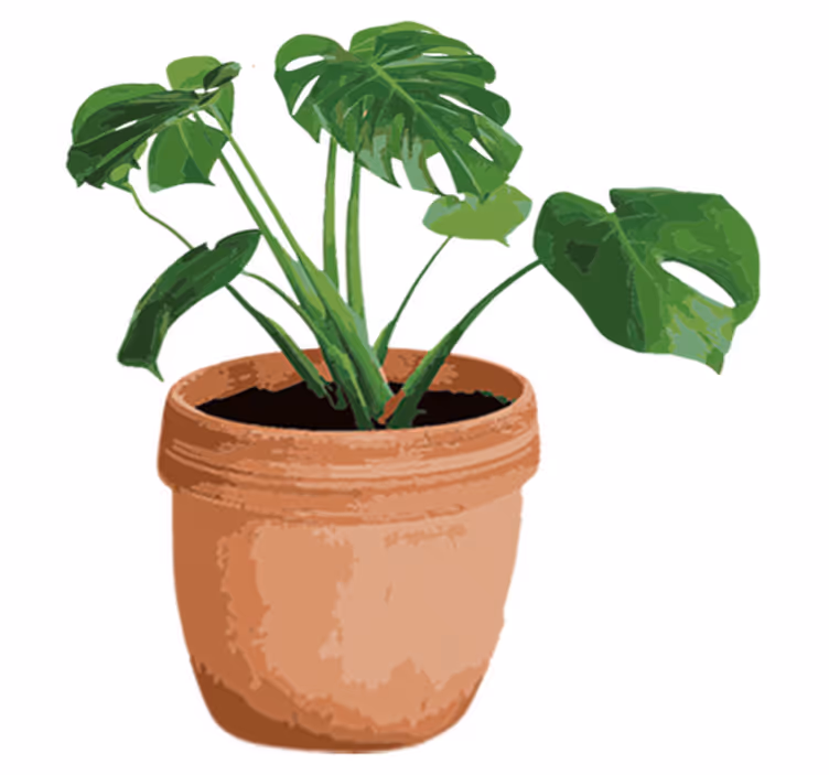 Vinyl tapijt bloemen en planten eenvoudige monstera pot - TenStickers