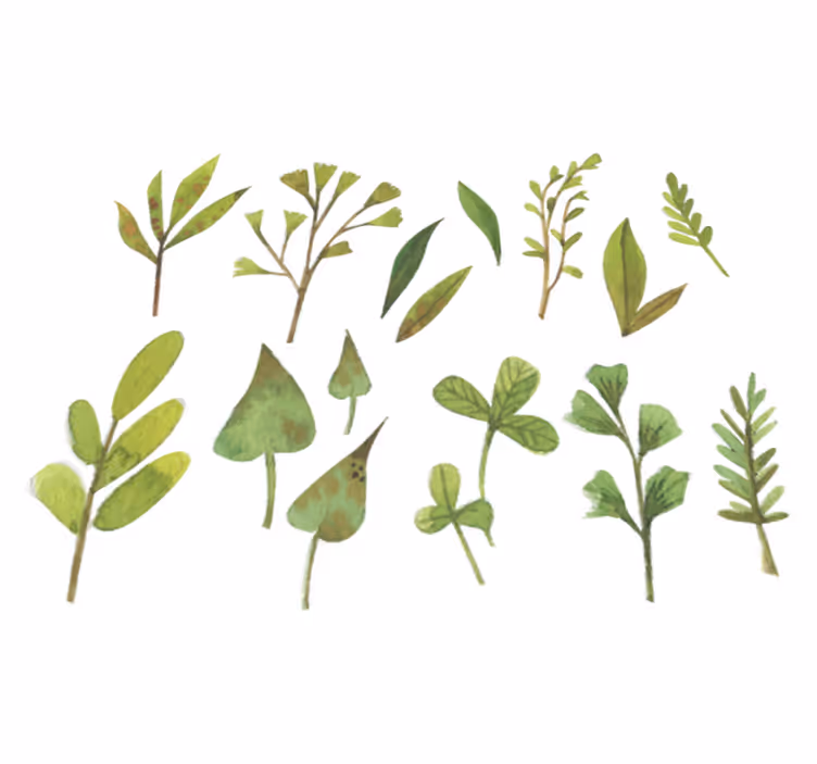 Vinyl tapijt bloemen en planten aquarella kleine bladeren - TenStickers