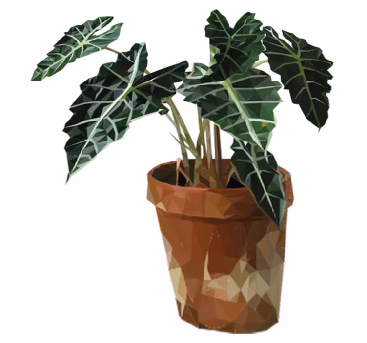 Vinyl tapijt bloemen en planten geometrische potplant - TenStickers