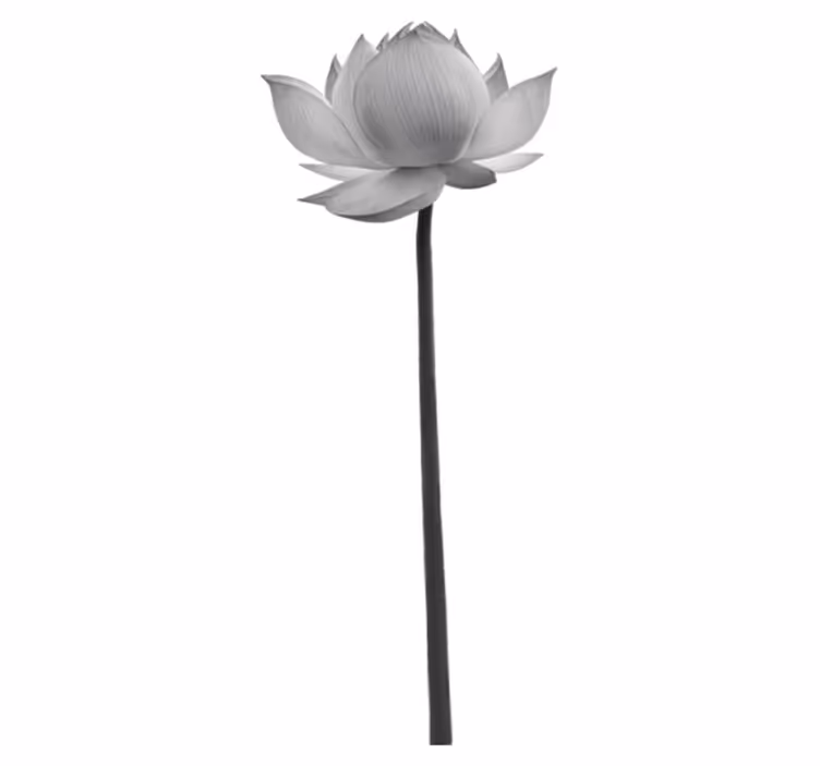 Vinyl tapijt slaapkamer lotus eenzame bloem - TenStickers