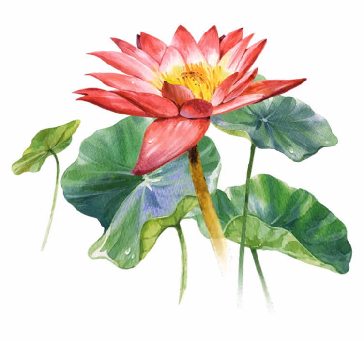 Vinyl tapijt slaapkamer lotus aquarel illusie - TenStickers