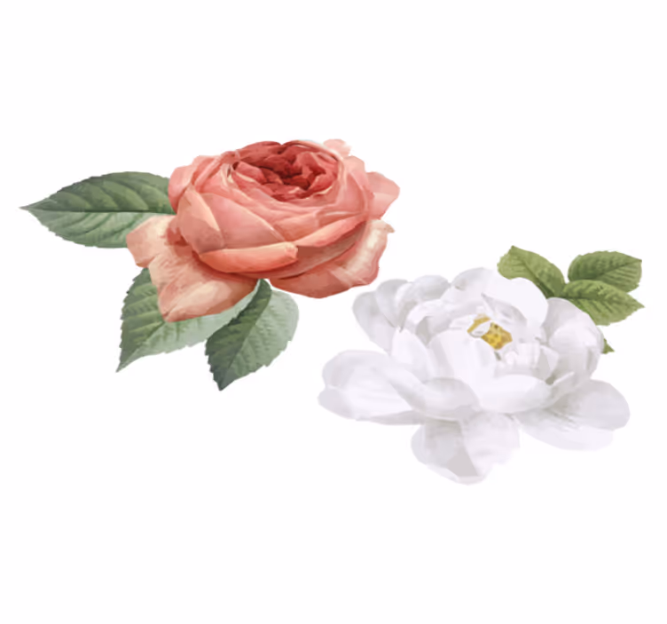 Vinyl tapijt slaapkamer witte en roze rozen - TenStickers