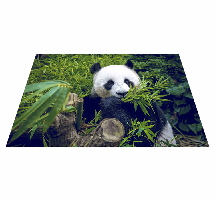 Vinyl tapijt groen panda schattig - TenStickers
