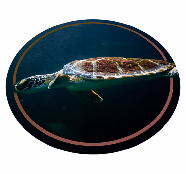 Zeeschildpad cirkel dieren vinyl tapijt - TenStickers