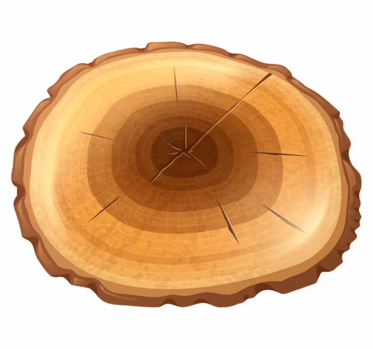Ronde boom hout vinyl tapijt - TenStickers