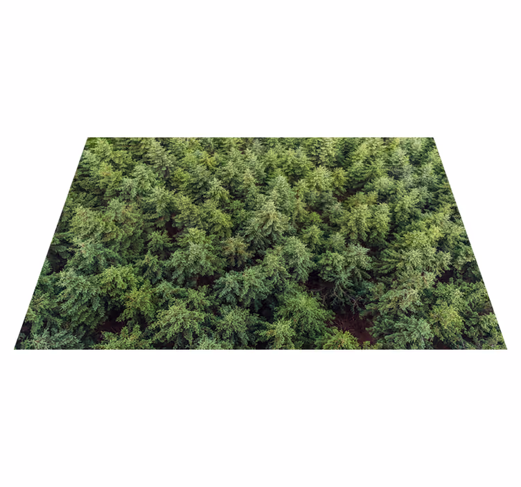 Luchtfoto boszicht vinyl tapijt natuur - TenStickers
