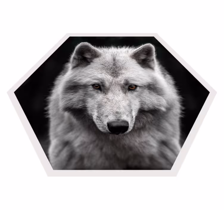Wolvenportret dieren vinyl tapijt - TenStickers