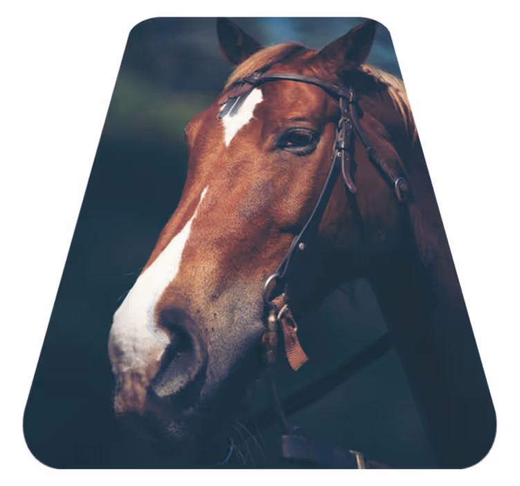 Majestueuze paardenkop dieren vinyl tapijt - TenStickers