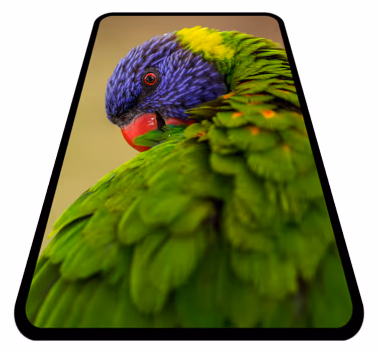 Kleurrijk papegaaienportret dieren vinyl tapijt - TenStickers