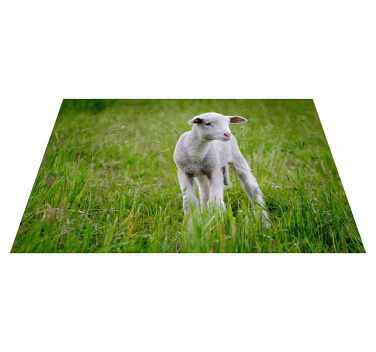 Babylam staand dieren vinyl tapijt - TenStickers