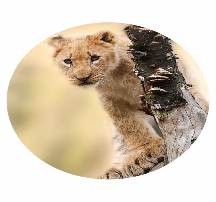 Nieuwsgierige leeuwenwelp vinyl vloerkleed dierenprint - TenStickers