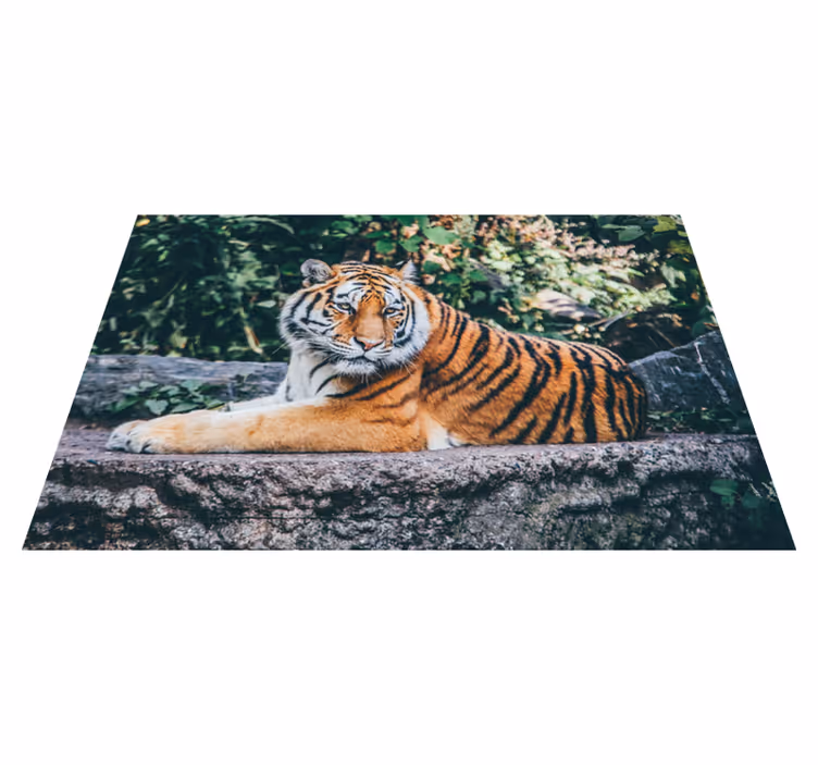 Majestueuze tijger liggend dieren vinyl tapijt - TenStickers