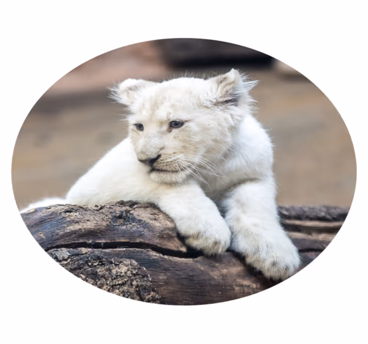 Witte leeuwenwelp dieren vinyl tapijt - TenStickers