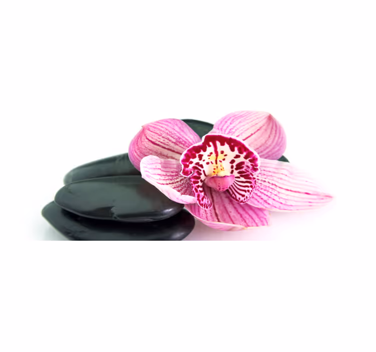 Orchidee en stenen vinyl tapijt bloemen en planten - TenStickers