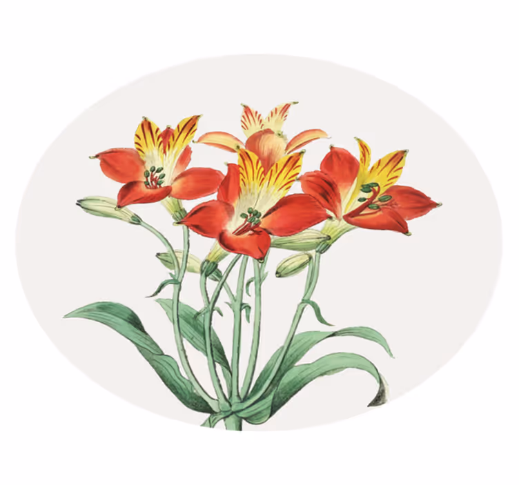 Levendige rode bloesems vinyl tapijt bloemen en planten - TenStickers