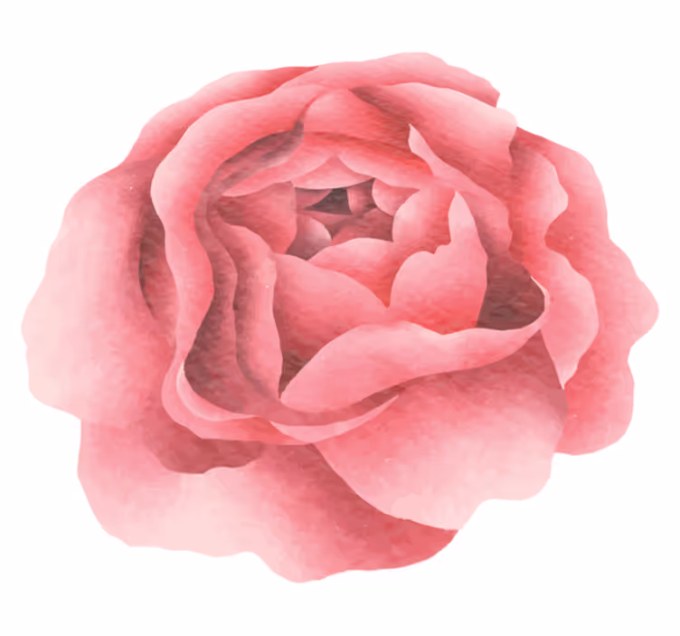 Blozende roze bloei vinyl tapijt bloemen en planten - TenStickers