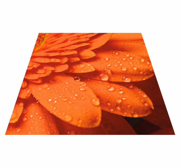Feloranje bloemblaadjes vinyl tapijt bloemen en planten - TenStickers