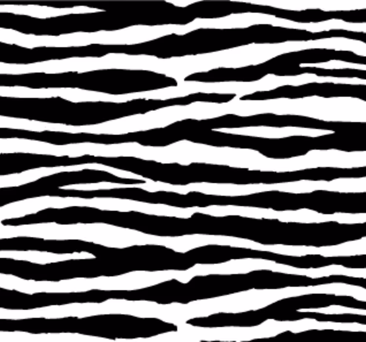 Behang dieren zebra strepen - TenStickers