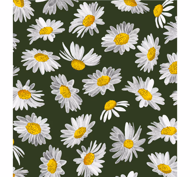Fotobehang natuur bloemenveld met madeliefjes - TenStickers