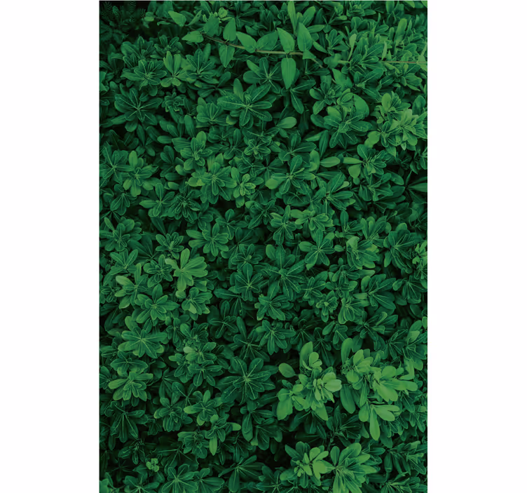 Fotobehang natuur diep groen natuur - TenStickers