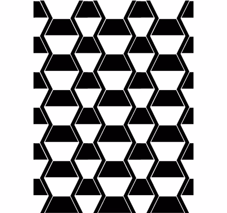 Behang woonkamer cosmopolitaanse zwart-witte hexagons - TenStickers