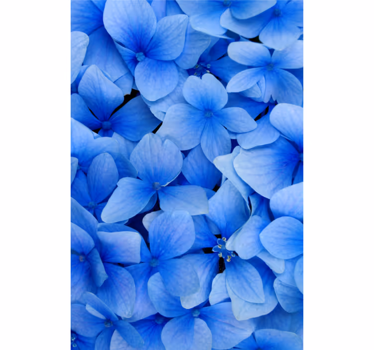 Behang woonkamer hortensia bloemblaadjes patroon - TenStickers