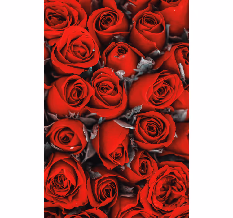Bloemen behang rode rozen romantisch - TenStickers