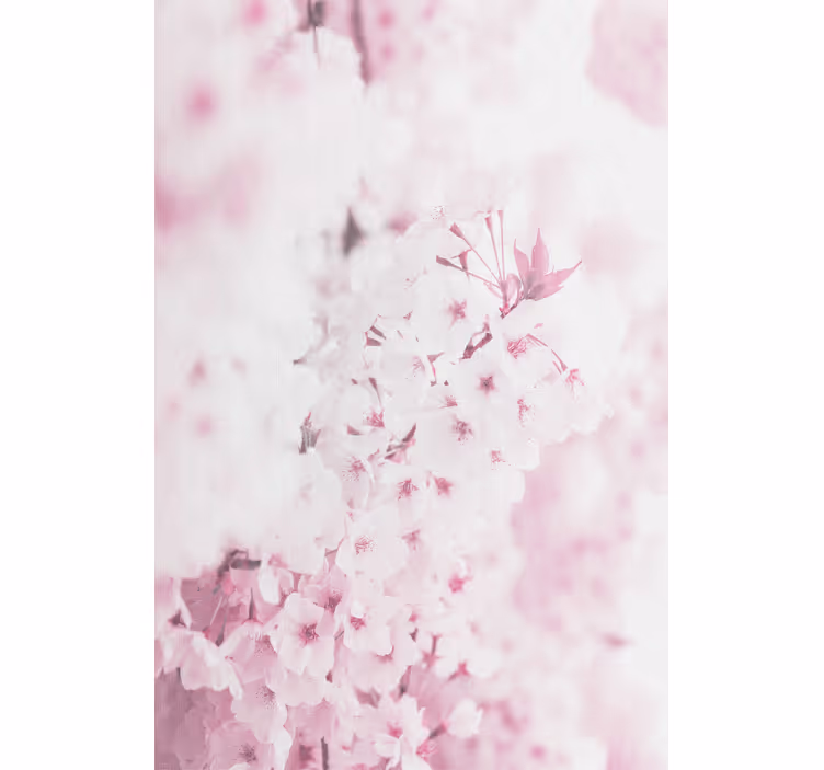 Bloemen behang lichtroze bloemen achtergrond - TenStickers