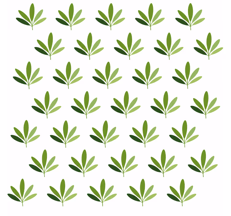 Behang bladeren sweet palm - TenStickers