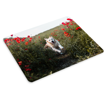 Originele muismat blije hond rennend - TenStickers