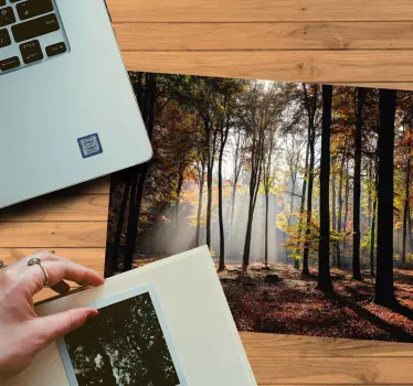 Originele muismat serene boslandschap - TenStickers